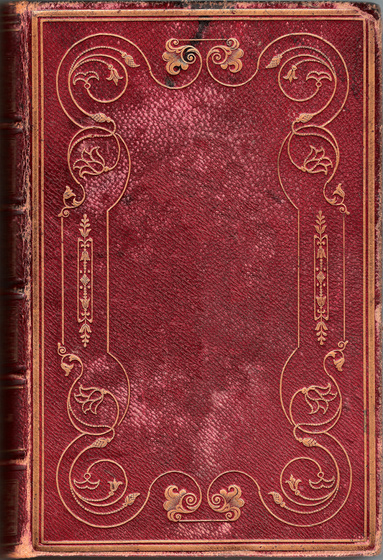 Old book cover 2
